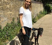 Dog Walker Chiswick