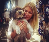 South London Cat Sitter