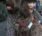 Raquel Chaves Cat Sitter East London