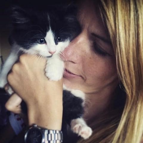 South London Cat Sitter